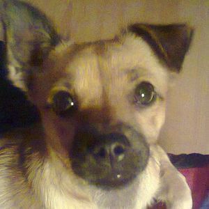 Meet your Posher, Joanne